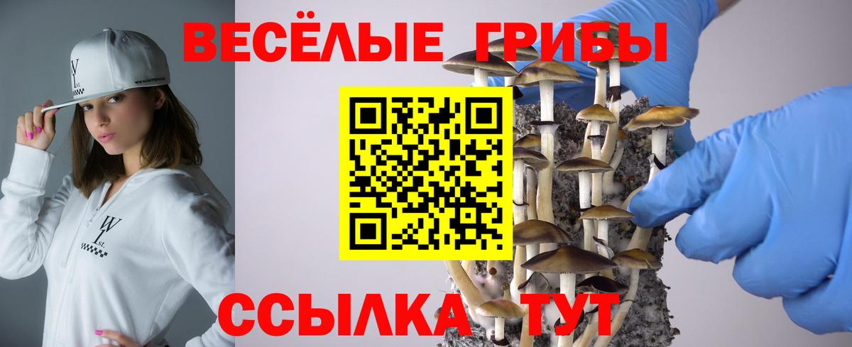 Псилоцибиновые грибы прущие грибы Артёмовский