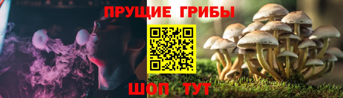 Артёмовский  Галлюциногенные грибы мухоморы  Вход с VPN 